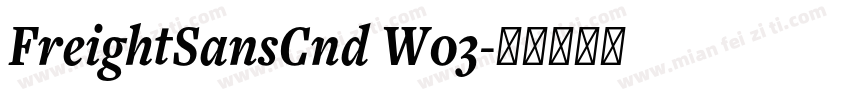 FreightSansCnd W03字体转换